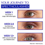 Journey to longer lashes from week 1 to 12, illustrating rapid lash growth, with resulting longer and thicker lashes