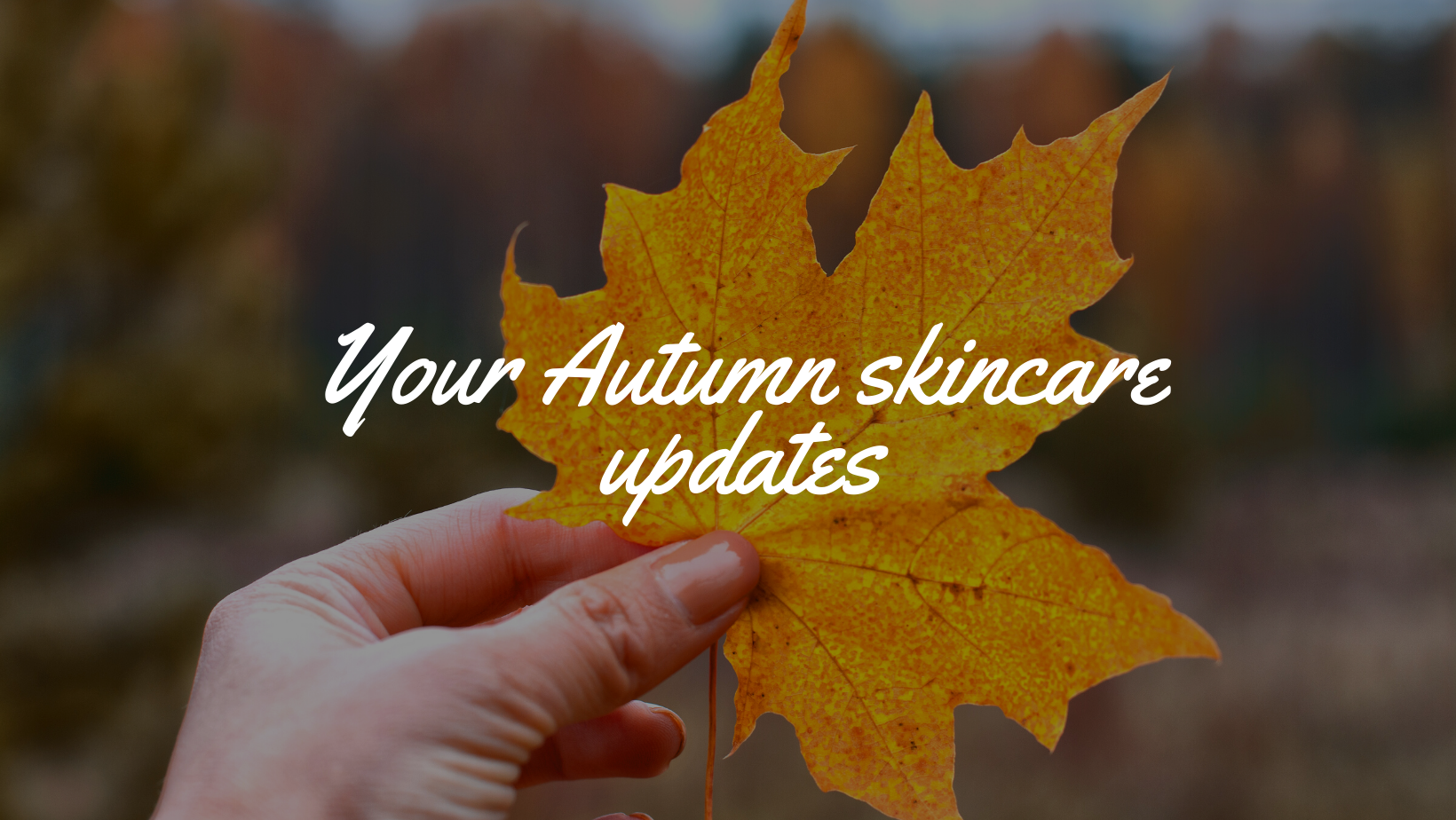 Autumn skincare updates 