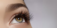 Lash & Brow