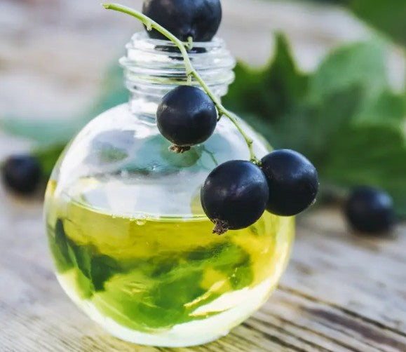 Blackcurrant Oil