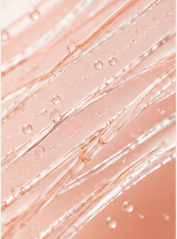 Collagen · Sphingolipids