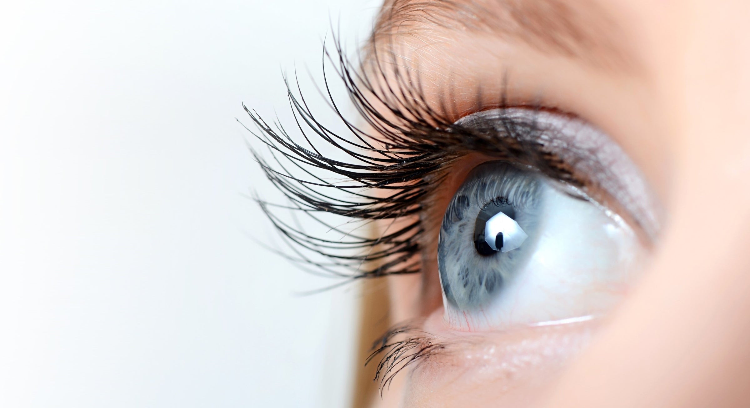 dermaworks spectaculash eye lash growth serum in just weeks fuller thicker longer lashes fast castor oil alternative to false lashes