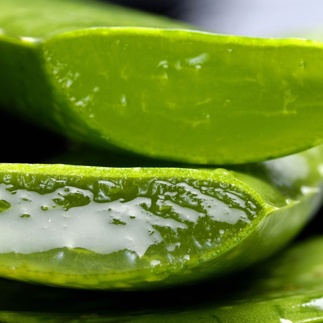 Aloe Vera is a natural moisturiser, skin repair and soothing ingredient, ideal for hydrating and calming, redness, irritation, inflammation or sunburned skin.