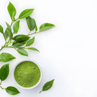 Green tea extract